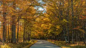 Jesień w Rezerwacie Przyrody Sztynort, październik 2025 r. - zdjęcie 17