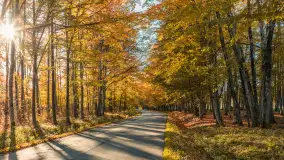 Jesień w Rezerwacie Przyrody Sztynort, październik 2025 r. - zdjęcie 1