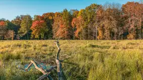 Jesień w Rezerwacie Przyrody Sztynort, październik 2025 r. - zdjęcie 26