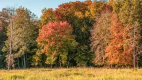 Jesień w Rezerwacie Przyrody Sztynort, październik 2025 r. - zdjęcie 5