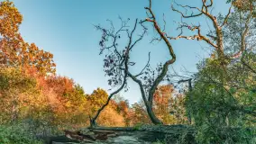 Jesień w Rezerwacie Przyrody Sztynort, październik 2025 r. - zdjęcie 28