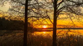 Zachód słońca nad jeziorem Gołdopiwo, listopad 2025 r. - zdjęcie 28