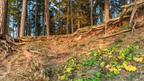 Zachód słońca nad jeziorem Gołdopiwo, listopad 2025 r. - zdjęcie 22