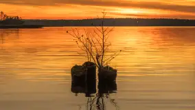 Zachód słońca nad jeziorem Gołdopiwo, listopad 2025 r. - zdjęcie 40