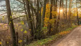 Końcówka mazurskiej, złotej jesieni, listopad 2025 r. - zdjęcie 19