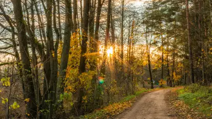 Końcówka mazurskiej, złotej jesieni, listopad 2025 r.