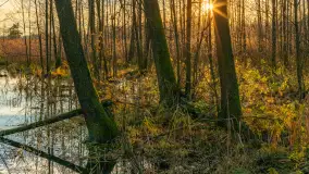 Końcówka mazurskiej, złotej jesieni, listopad 2025 r. - zdjęcie 9