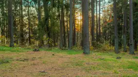 Końcówka mazurskiej, złotej jesieni, listopad 2025 r. - zdjęcie 18