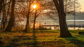 Zachód słońca, końcówka kolorów jesieni w Sztynorcie, listopad 2025 r. - zdjęcie 29