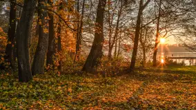 Zachód słońca, końcówka kolorów jesieni w Sztynorcie, listopad 2025 r. - zdjęcie 34