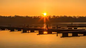 Zachód słońca, końcówka kolorów jesieni w Sztynorcie, listopad 2025 r. - zdjęcie 7