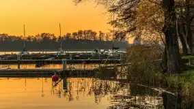 Zachód słońca, końcówka kolorów jesieni w Sztynorcie, listopad 2025 r. - zdjęcie 36