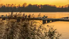 Zachód słońca, końcówka kolorów jesieni w Sztynorcie, listopad 2025 r. - zdjęcie 23