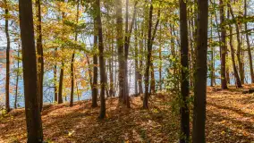 Jesień nad jeziorem Nidzkim, port i ośrodek Wodnik, Ruciane-Nida, październik 2025 r. - zdjęcie 32