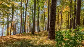 Jesień nad jeziorem Nidzkim, port i ośrodek Wodnik, Ruciane-Nida, październik 2025 r. - zdjęcie 27