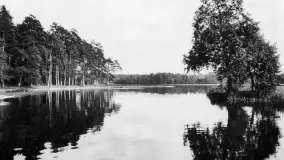 Wkrótce ożywimy AI pocztówki z Rucianego Nidy / Niedersee, wracamy do przeszłości - zdjęcie 4