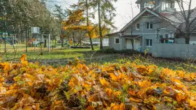 Końcówka jesieni w Pięknym Brzegu, nad jeziorem Święcajty, listopad 2025 r. - zdjęcie 6