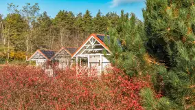 Końcówka jesieni w Pięknym Brzegu, nad jeziorem Święcajty, listopad 2025 r. - zdjęcie 28