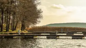 Końcówka jesieni w Pięknym Brzegu, nad jeziorem Święcajty, listopad 2025 r. - zdjęcie 34