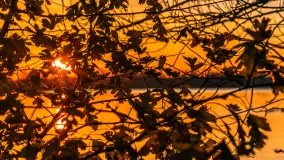 Zachód słońca nad jeziorem Niegocin, listopad 2025 r. - zdjęcie 12