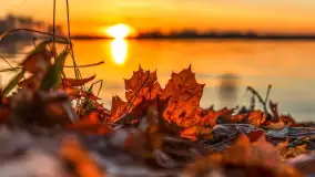 Zachód słońca nad jeziorem Niegocin, listopad 2025 r. - zdjęcie 13