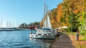 Jesienne kadry w porcie Pod Dębem, nad jeziorem Nidzkim, październik 2025 r. - zdjęcie 15