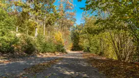 Jesienne kadry w porcie Pod Dębem, nad jeziorem Nidzkim, październik 2025 r. - zdjęcie 44