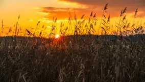 Zachód słońca nad jeziorem Bocznym w Rydzewie, listopad 2025 r. - zdjęcie 6