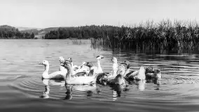 Wkrótce ożywimy AI pocztówki z Olecka / Marggrabowa, wracamy do przeszłości - zdjęcie 9