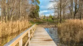 Jezioro Krzywa Kuta między jesienią, a zimą, listopad 2025 r. - zdjęcie 10