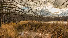 Jezioro Krzywa Kuta między jesienią, a zimą, listopad 2025 r. - zdjęcie 2