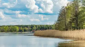 Tężnie Solankowe w Gołdapi, wiosna 2025 r. - zdjęcie 21