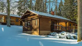 Słoneczna zima w Łabędzim Ostrowiu, luty 2025 r. - zdjęcie 43