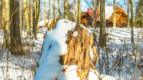 Słoneczna zima w Łabędzim Ostrowiu, luty 2025 r. - zdjęcie 8