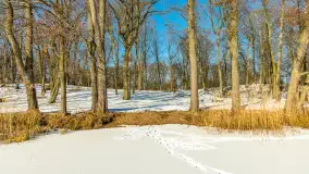 Słoneczna zima w Łabędzim Ostrowiu, luty 2025 r. - zdjęcie 29