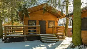 Słoneczna zima w Łabędzim Ostrowiu, luty 2025 r. - zdjęcie 33