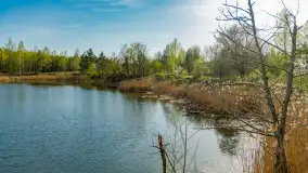 Niewielkie jezioro niedaleko śluzy Długopole, kwiecień 2025 r. - zdjęcie 7