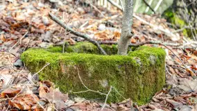 Schrony Kruklaneckiej pozycji umocnieniowej - zdjęcie 50