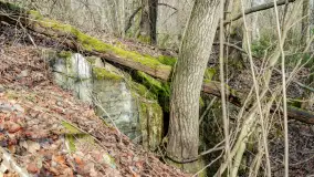 Schrony Kruklaneckiej pozycji umocnieniowej - zdjęcie 51