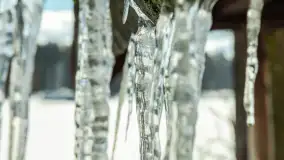 Stranda zimą, początek lutego 2025 r. - zdjęcie 15