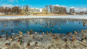 Stranda zimą, początek lutego 2025 r. - zdjęcie 28