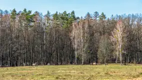 Mix naszych niewykorzystanych zdjęć z ostatnich lat - zdjęcie 28