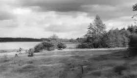 Wkrótce ożywimy AI pocztówki i zdjęcia z Wydmin / Widminnen, wracamy do przeszłości - zdjęcie 43