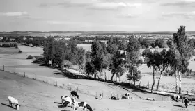 Powrót do przyszłości, Gołdap / Goldap na starych zdjęciach - zdjęcie 207