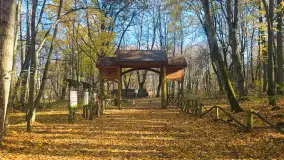 Jesień w lesie miejskim w Giżycku, listopad 2025 r. - zdjęcie 7