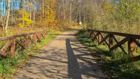 Jesień w lesie miejskim w Giżycku, listopad 2025 r. - zdjęcie 16