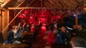 Zdjęcia: oJ Tam wystąpił w Melodiach w Tle... Dla Mew - zdjęcie 4