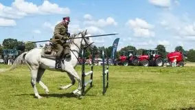 Zdjęcia: Zimnokrwiste rozgrzały serca publiczności - zdjęcie 25