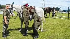 Zdjęcia: Zimnokrwiste rozgrzały serca publiczności - zdjęcie 20