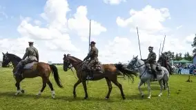 Zdjęcia: Zimnokrwiste rozgrzały serca publiczności - zdjęcie 8